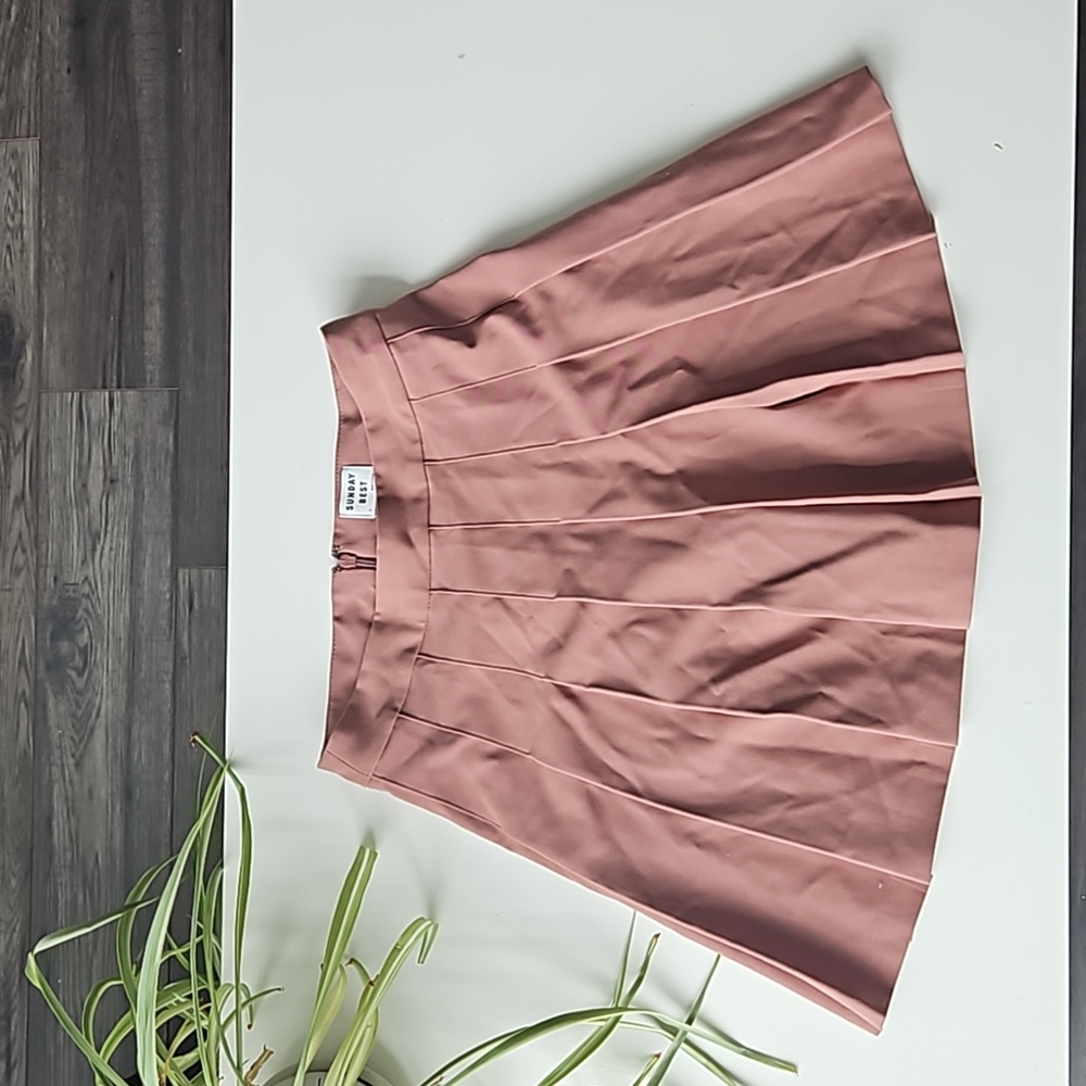 Aritzia Sunday Best Preppy Pleated Mini Skirt in Burgundy
